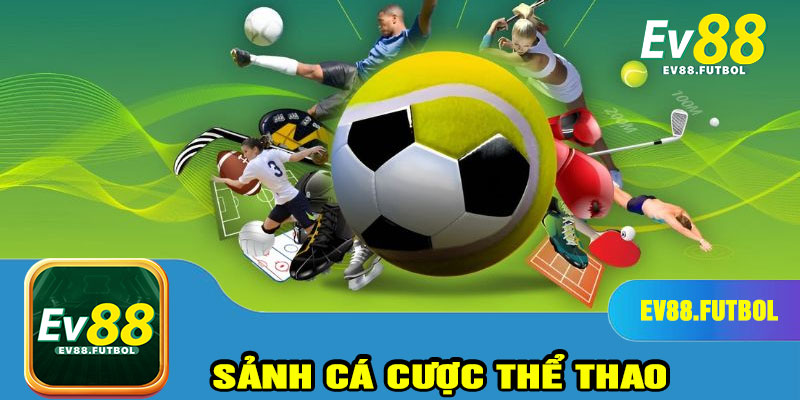 Sảnh cá cược thể thao – Thế giới đỉnh cao cho tín đồ bóng đá